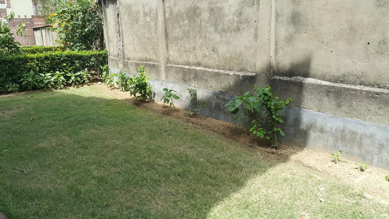 Shantiniketan Bungalow Bolpur Exterior photo